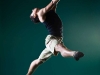 zebra_rddc_green-16