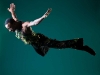 zebra_rddc_green-3