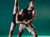 zebra_rddc_green-8