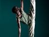 zebra_rddc_green-9
