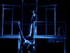 zebra_enron-4
